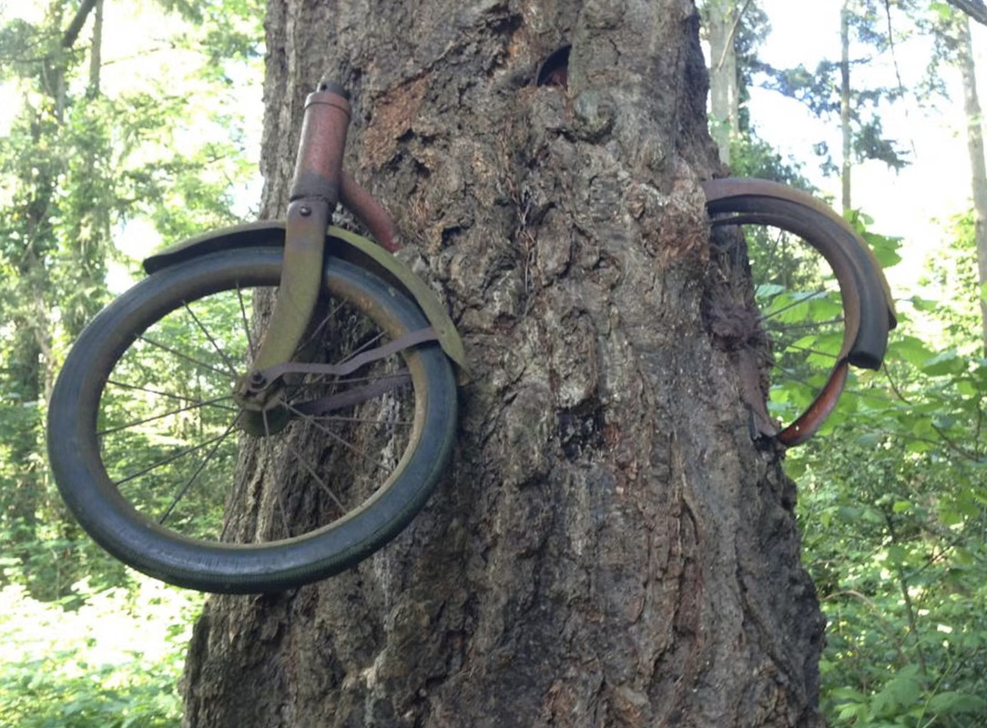 Screen Shot 2024-11-12 at 6.50.42 PM