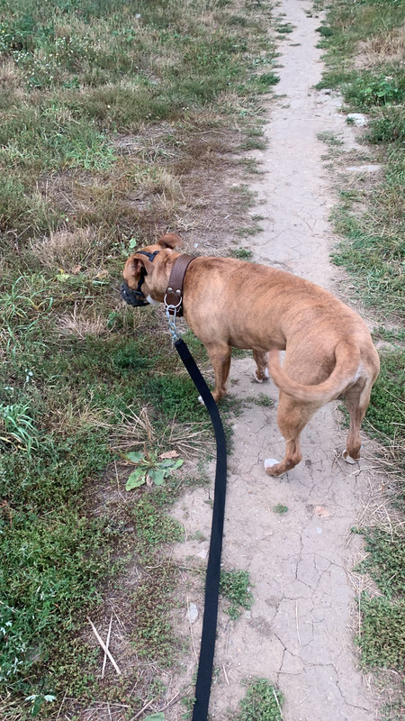 B6246C86-2451-47EA-81CA-A7FC2DB9FB9E