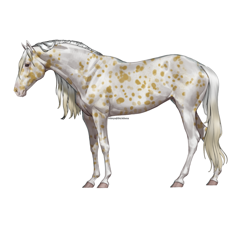 Untitled88-20250617141711.png