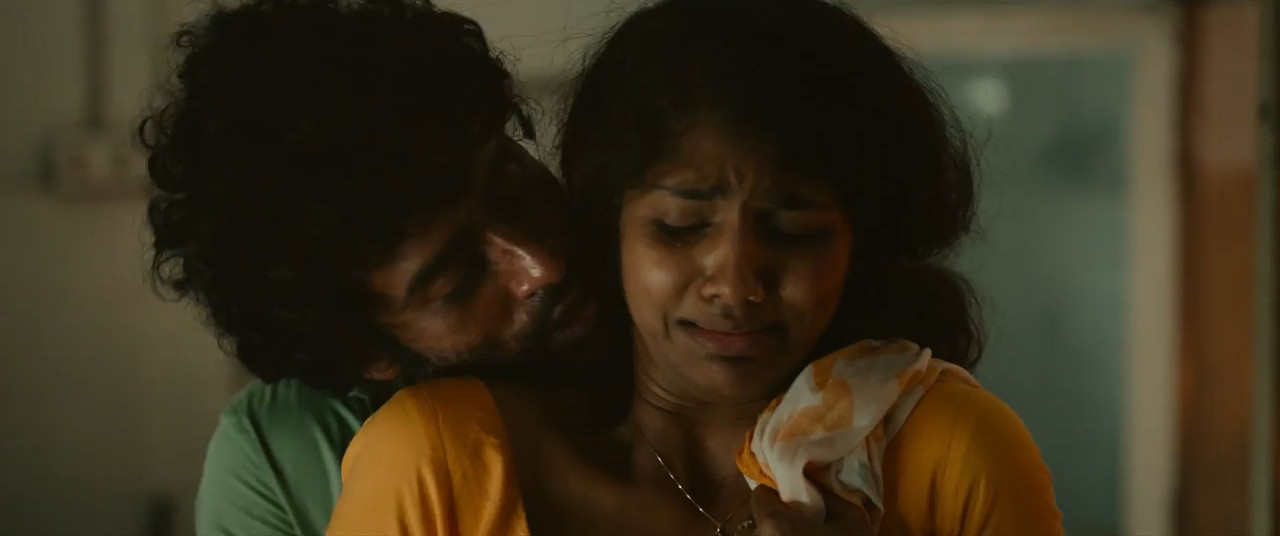 Saaree 2025 WebRip [Hindi + Tamil + Telugu + Malayalam] 480p 720p ESub Screenshot