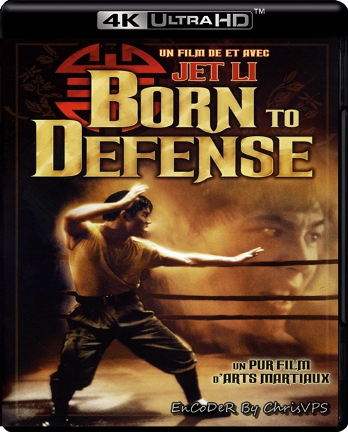 Krwawy ring / Born to Defense (1988) MULTI.HDR.AI.UP.2160p.WEB.DL.AC3-ChrisVPS / LEKTOR i NAPISY