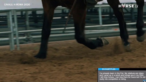 Horse-TV-Natale-1.jpg