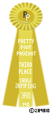 Show-Jumping-140-Yellow.png