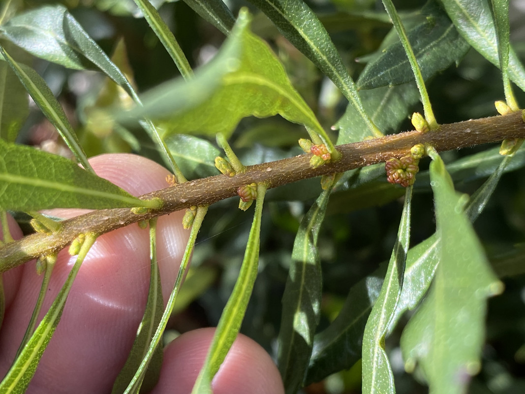 2995C930-570C-4C3F-B8AC-0783510898A8