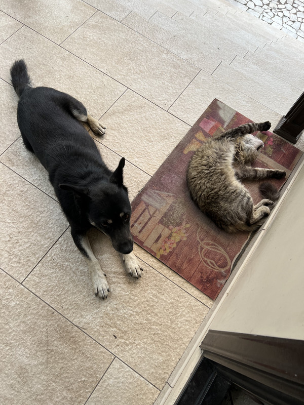 973BBC28-03BF-4780-AC7A-E3B230D000D3