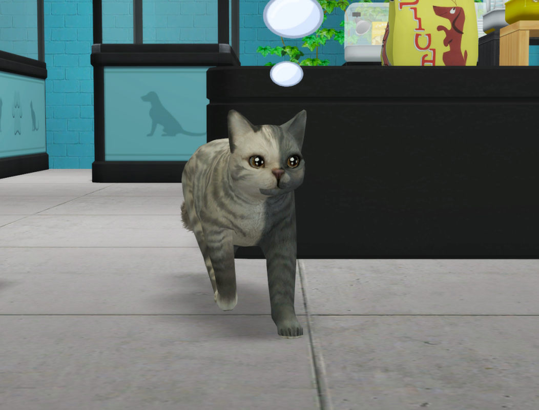 Sims2-EP9-RPC-2022-10-25-22-50-29-23