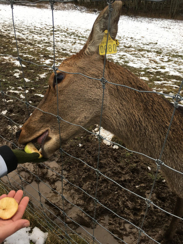 0A841935-FAFD-4B85-8A94-4B770B32D6D3