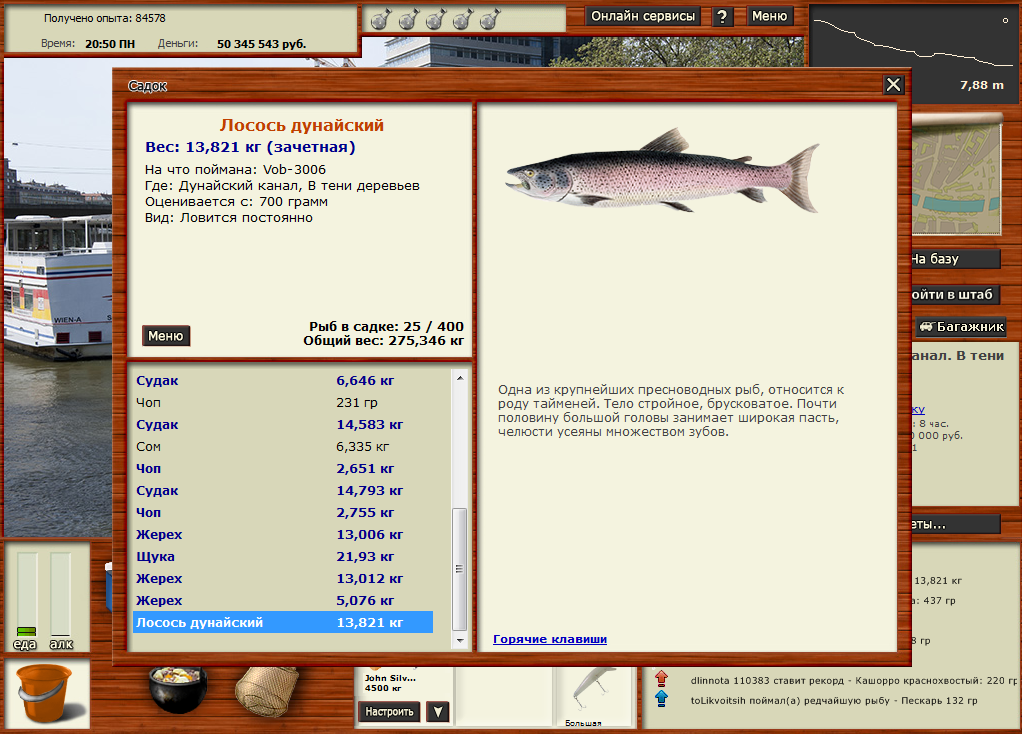 Лосось Дунайский