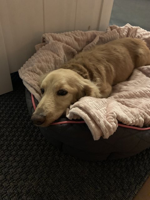 [Image: IMG-7749.jpg]