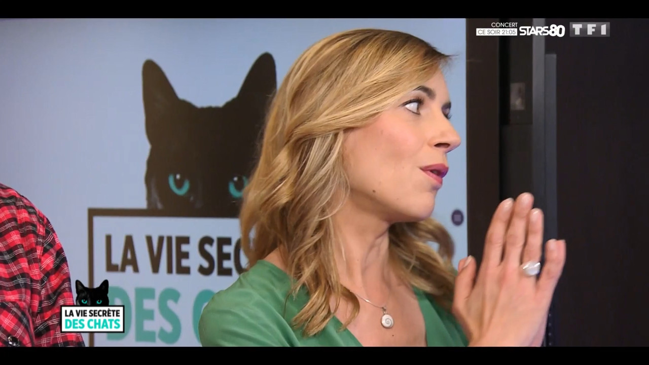 2020-05-30_10_35_TF1_La-vie-secrete-des-chats_Chats-et-sentiments-avec-Charlotte-Valan.mp4_snapshot_