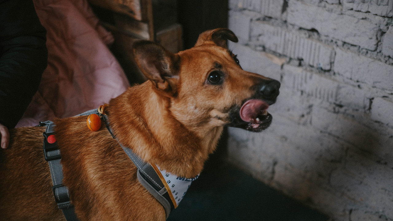 C0C23895-85A7-4350-8809-49AFEE5C6650