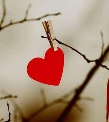 tumblr_52739a916ed44da02cdf3503794eb47b_54d31c08_500