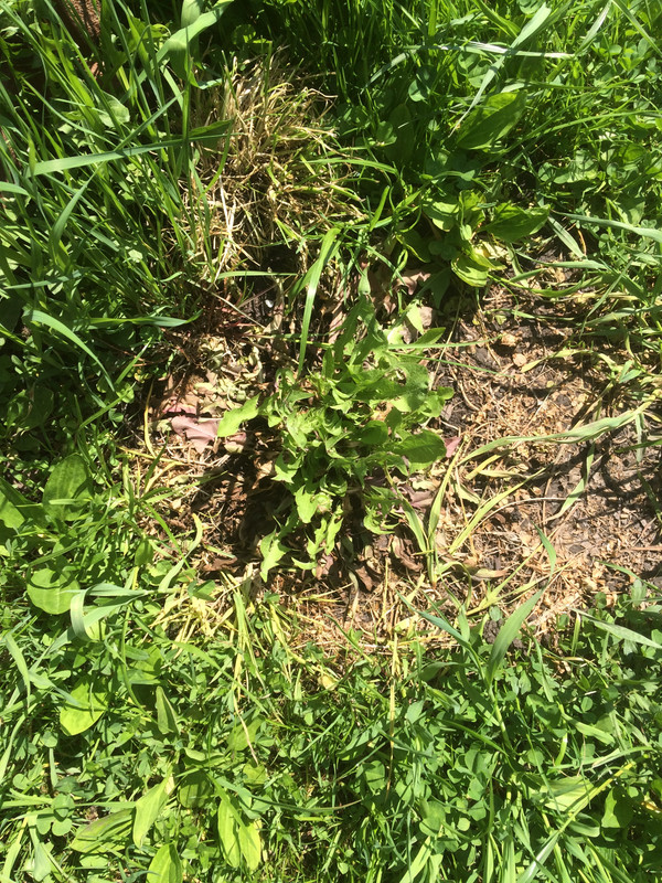 D3603775-B8E5-4706-B9A3-A8E574AB5EB3