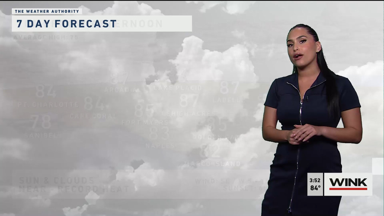 01.31 - 20.00.00 - WINK News at 3pm  ᴺᵉʷ..ts_snapshot_00.59.01.864