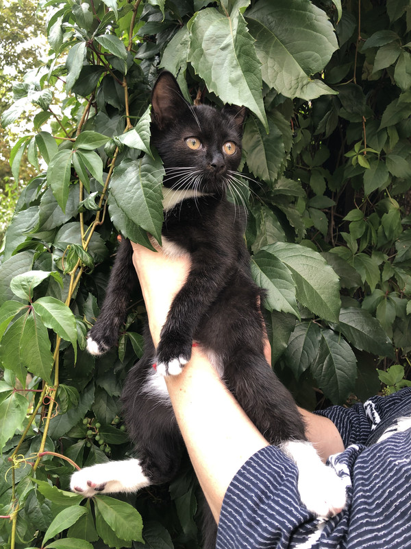 F1A19072-45DB-47A4-878F-60C49C570E3D