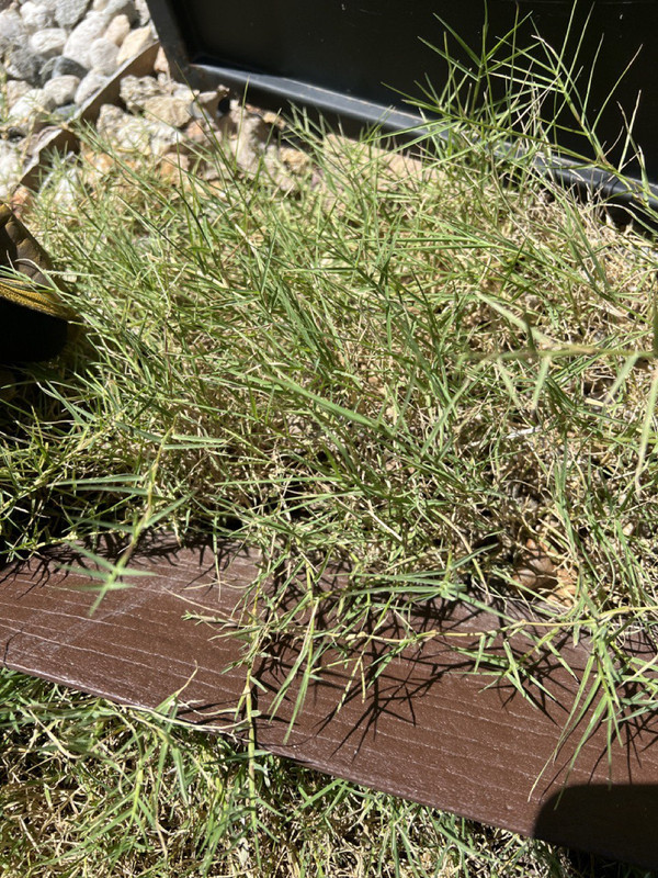 photo_2022-08-19 12.44.15