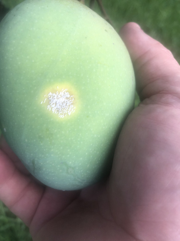 F8BD998E-5FE5-41C8-B72B-A7671B469F06