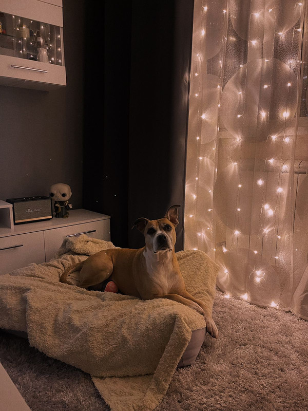 2B2D06B3-0481-41BE-965C-24849A6CAF9D