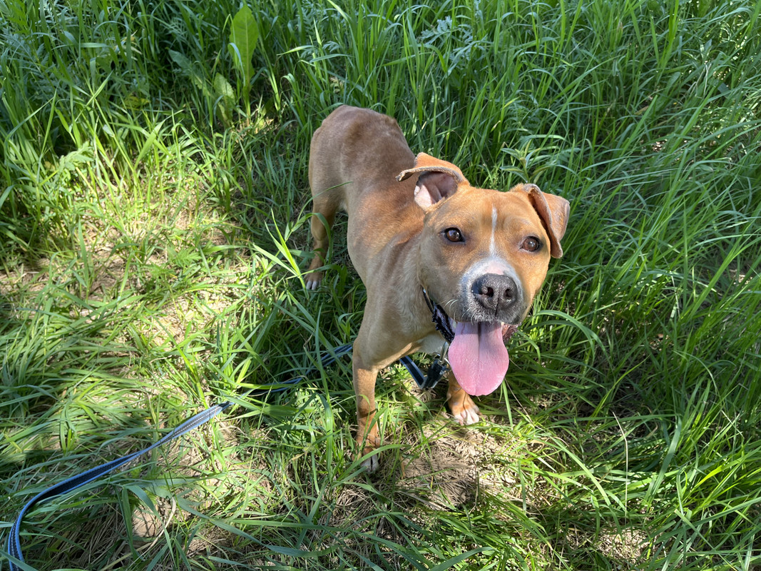 A8BB7831-3156-4DC8-85EE-8CB7F9DAE205