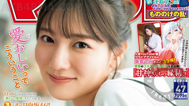 cover 【画像】Weekly Shounen Magazine 2023 No 47 (Kawata Hina Hinatazaka46)