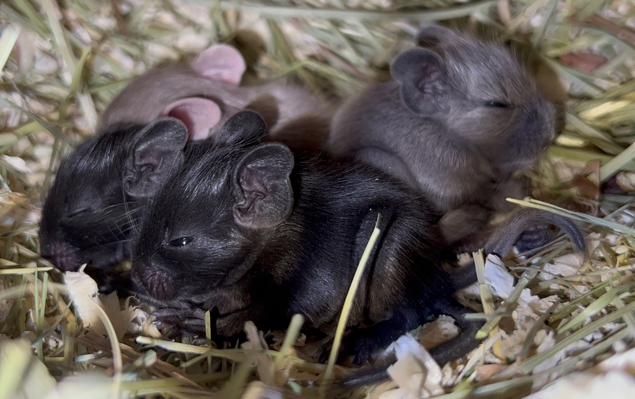 21CC0848-980B-49A5-9033-D4C965C6FAF1