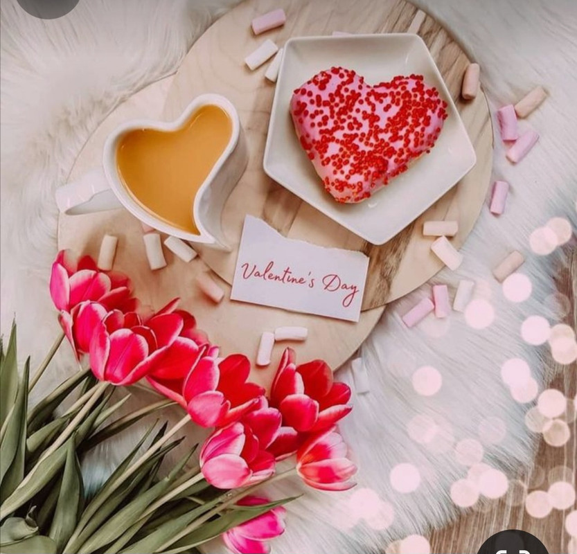 Screenshot_20240206_185424_Pinterest