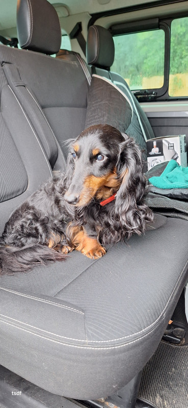 [Image: 20250831-145628.jpg]