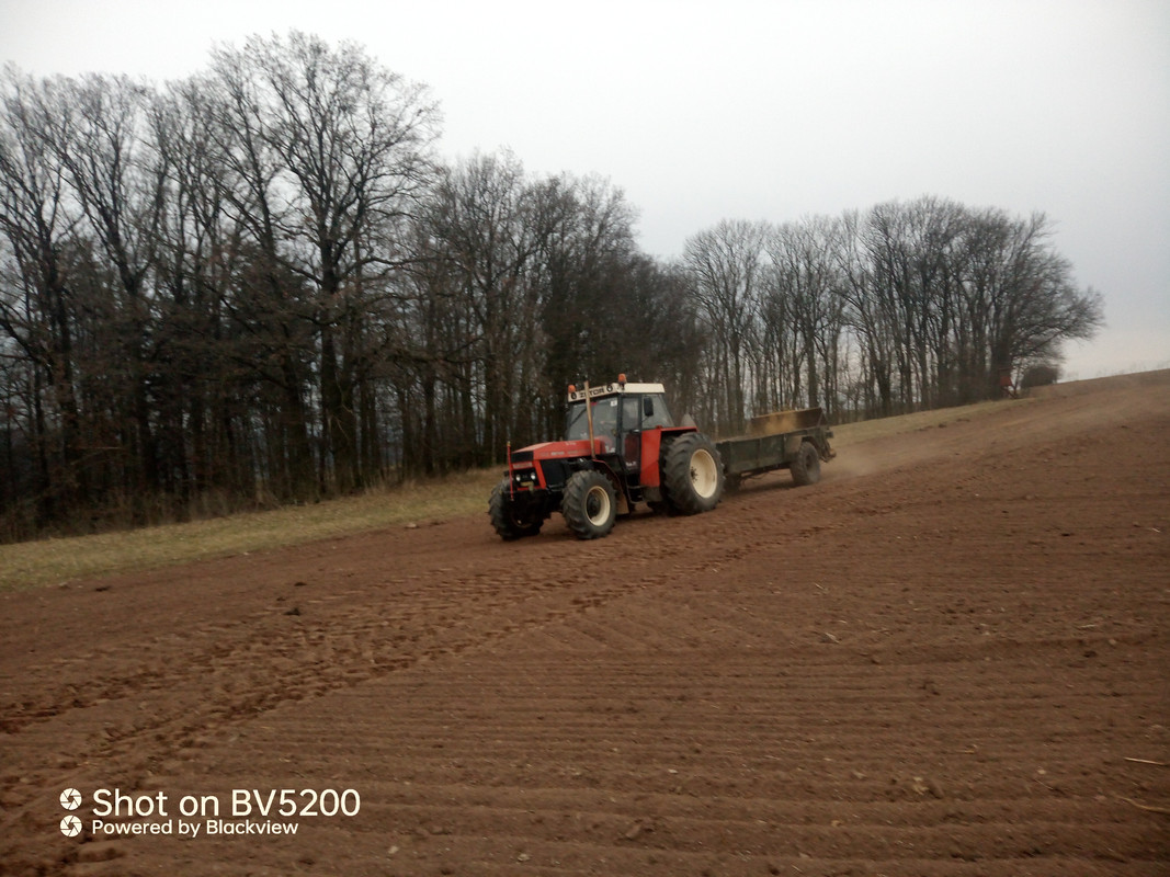 IMG_20250310_172019_366