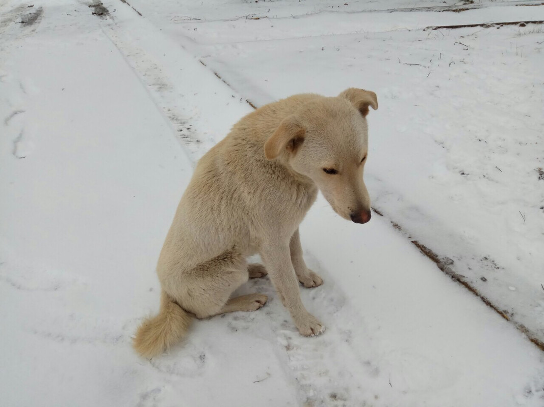 488FF3D5-93AE-407A-A03B-DA8E91BF3CDE