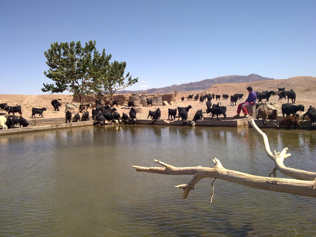 کلاته حسن بیک تابستان۱۳۹۰