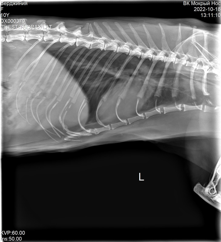 1DX000379_4