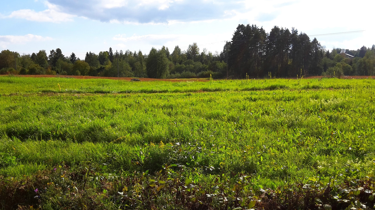 20140906_155924 – Kopio