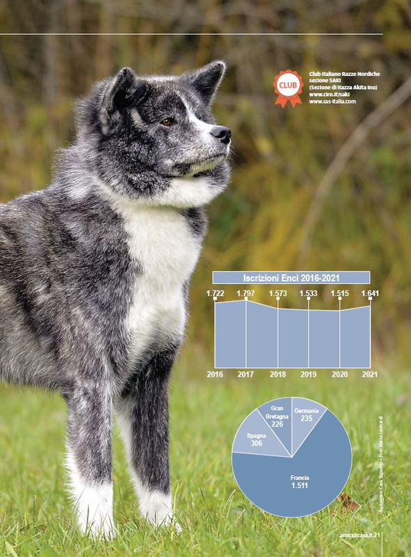 Il M C Apr-Mag 2023 (2)