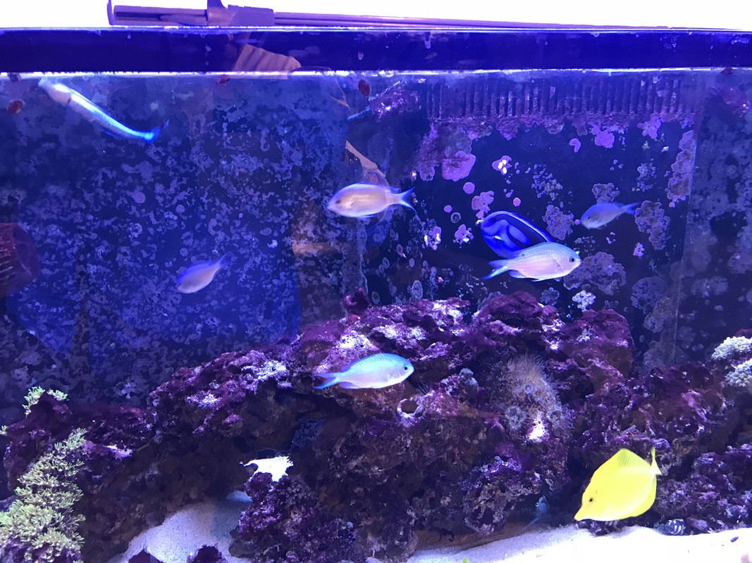 VjIYXy8XS3q872bHh hfyQ