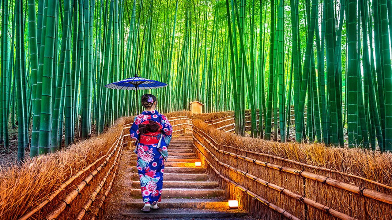 Hutan Bambu Arashiyama