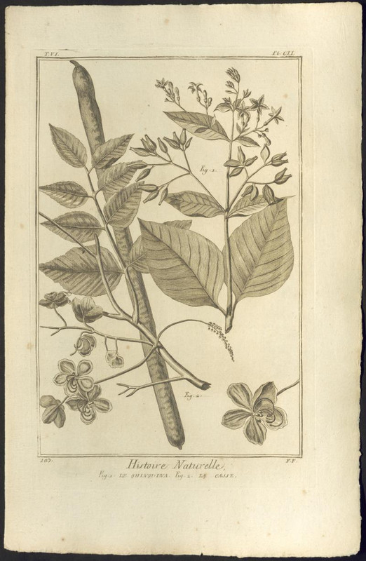 Il fondo della ‘Biblioteca di Baldassarre Gessi’ in mostra alla Manfrediana di Faenza (Ra)