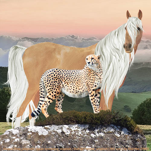 Palomino-and-Cheetah.jpg