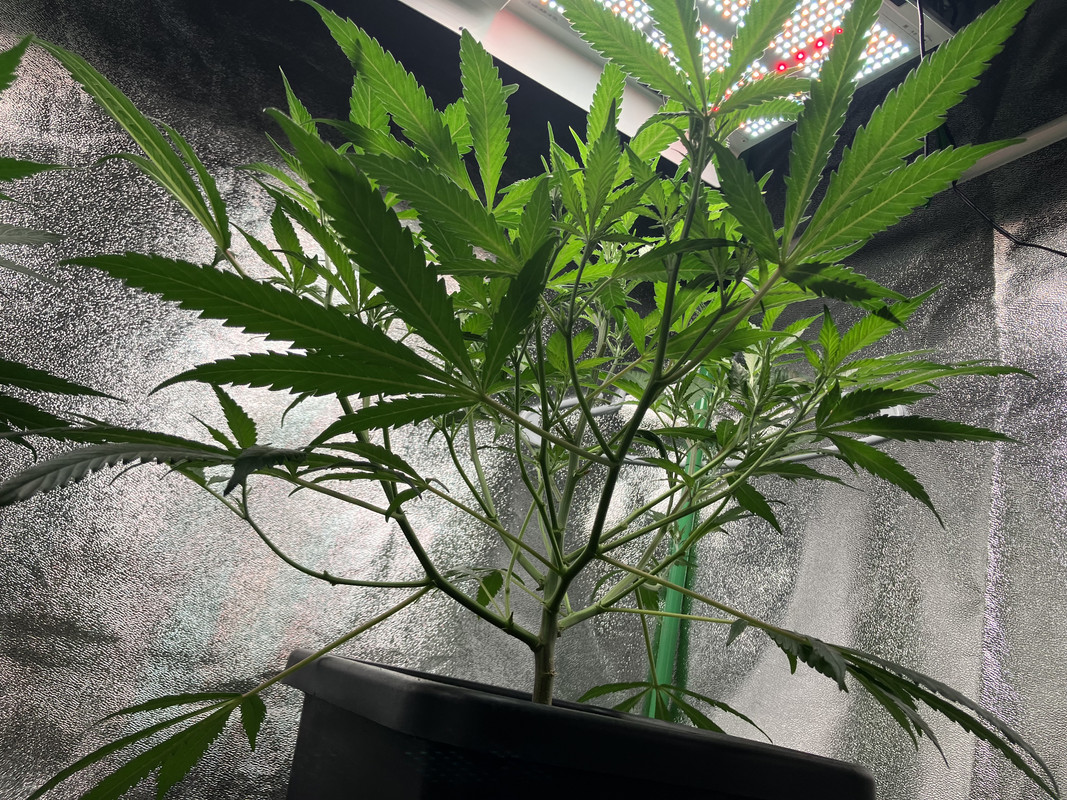 8A078227-ECD8-43E9-B103-F6EDCE79CD7C