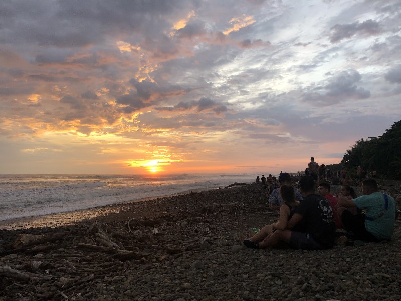 DIA 12: TRASLADO A DOMINICAL Y COCODRILOS EN TÁRCOLES - DE TORTUGAS Y PEREZOSOS. COSTA RICA 2019 (24)