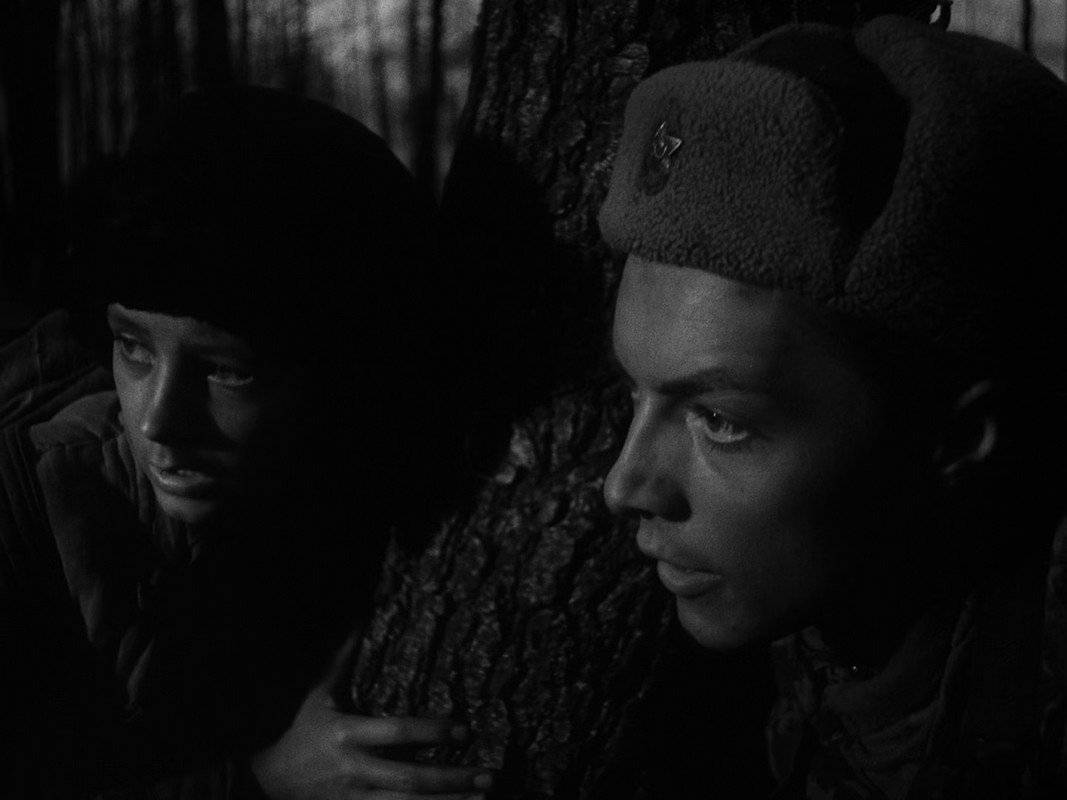 Ivan's Childhood (1962) Criterion.mkv_snapshot_01.15.37_[2018.03