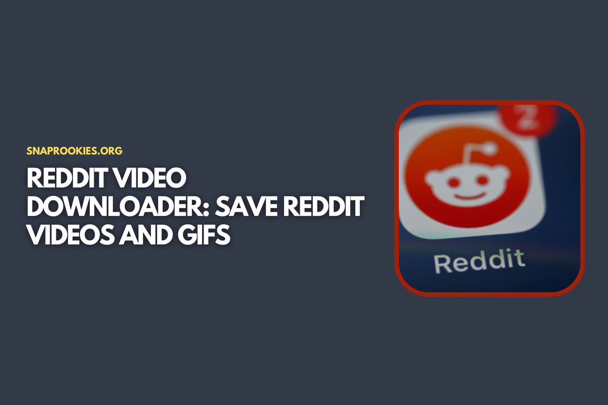 Reddit Video Downloader: Save Reddit Videos and GIFs