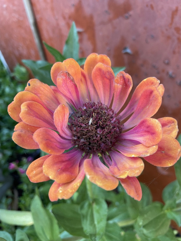 F0-E0-CE62-22-D2-476-F-A0-CC-5-F623043965-E-1-105-c