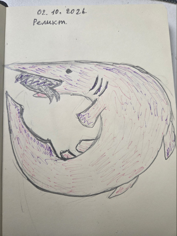 20261002-143154.jpg
