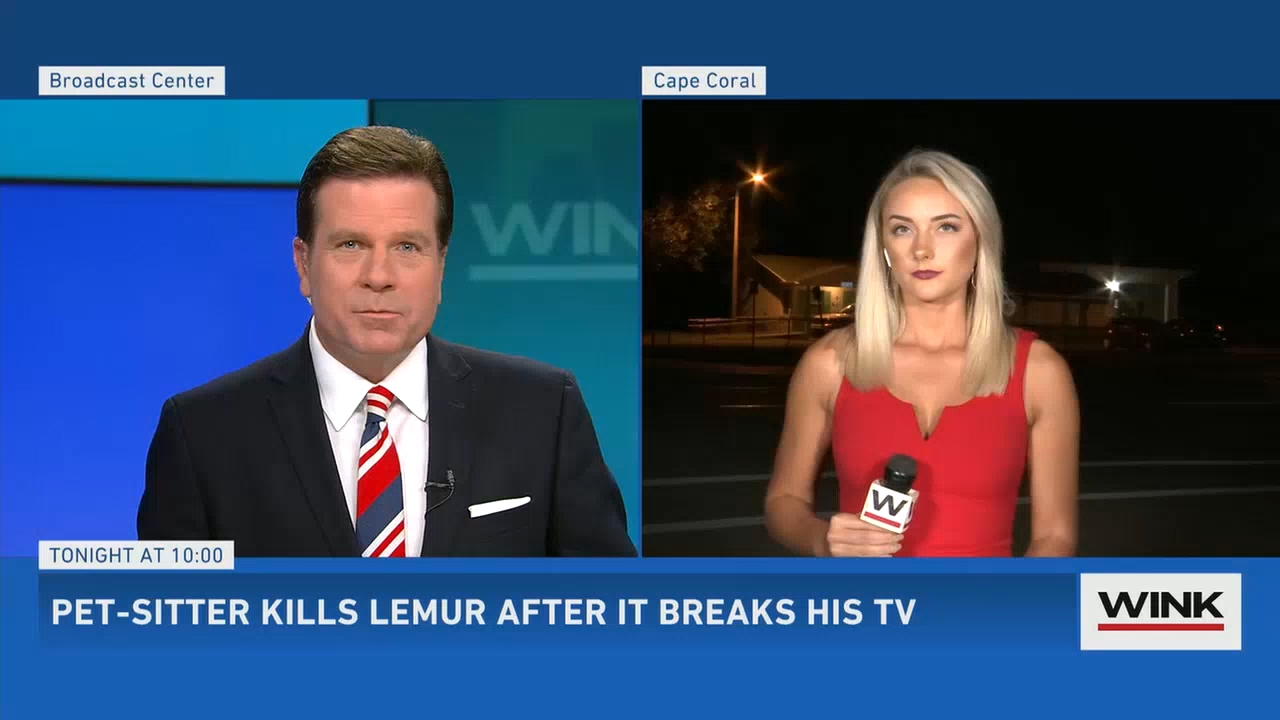 10.23 - 03.00.00 - WINK News at 10 00 p.m..ts_snapshot_00.10.03.722