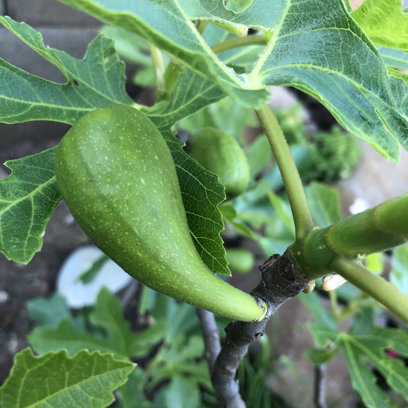 98AE70BC-076E-45E6-A958-63B979367446