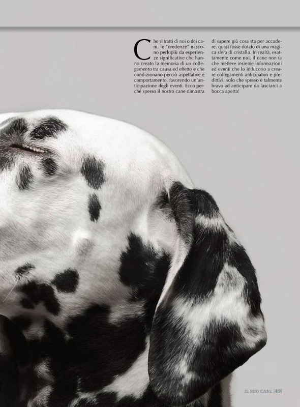 Il M C Apr 2022 (10)