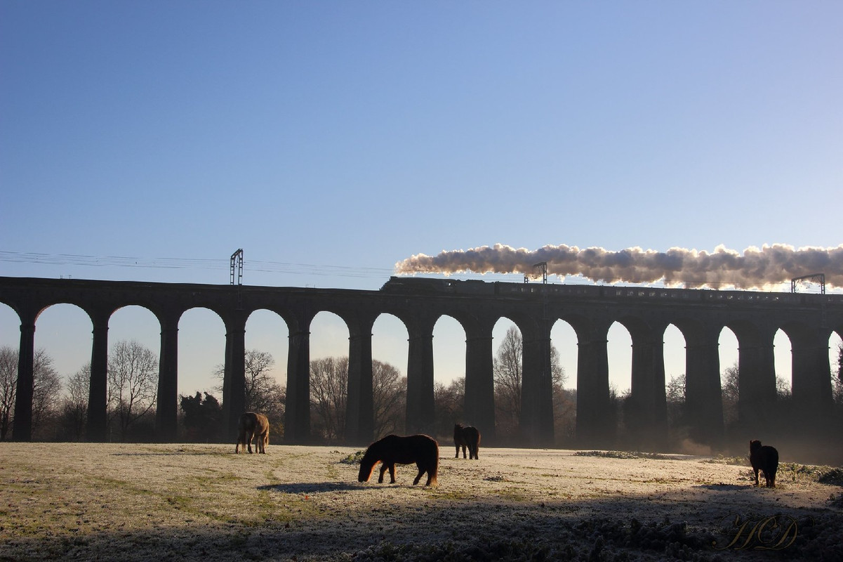 train-viaduct-digs-HD.jpg