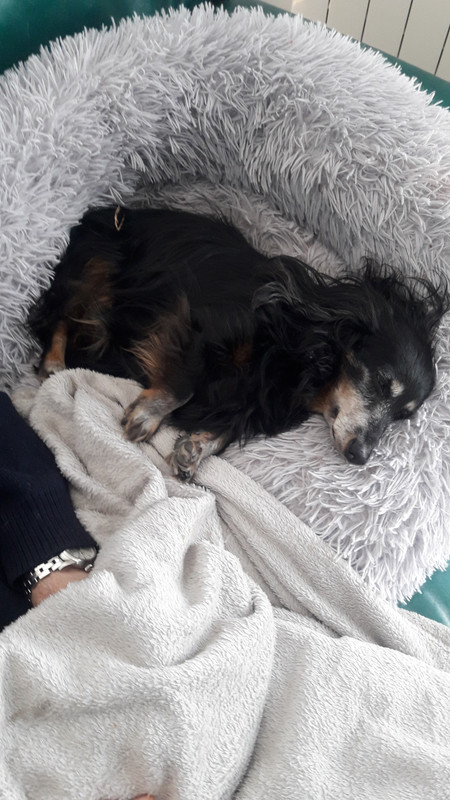 [Image: 20210502-150733.jpg]