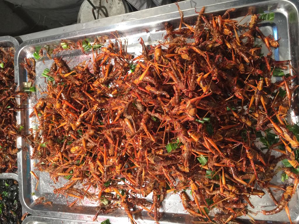 3A16FF74-906A-40D7-A53A-CD1B390DF5AE