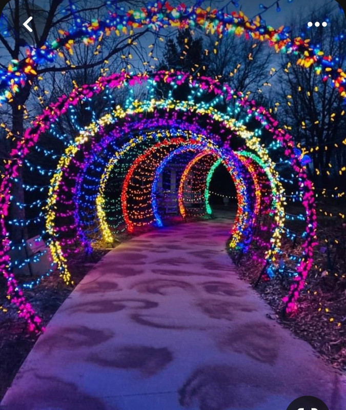 Screenshot_20231217_122114_Pinterest